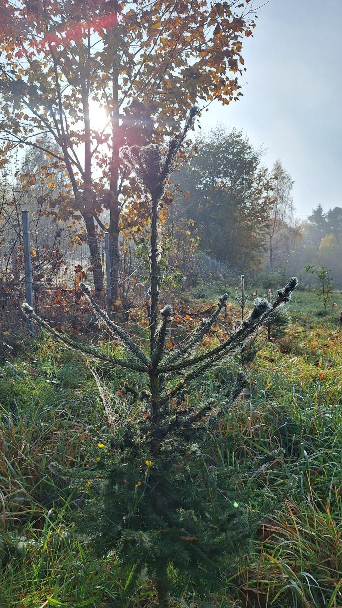 Dom Wakacyjny Kuszewo Czaplinek Bagian luar foto