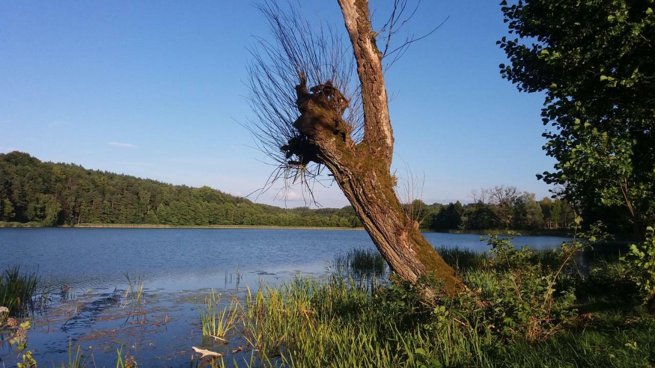 Dom Wakacyjny Kuszewo Czaplinek Bagian luar foto